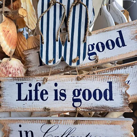 Dağ evi Chalet Callantsoog *